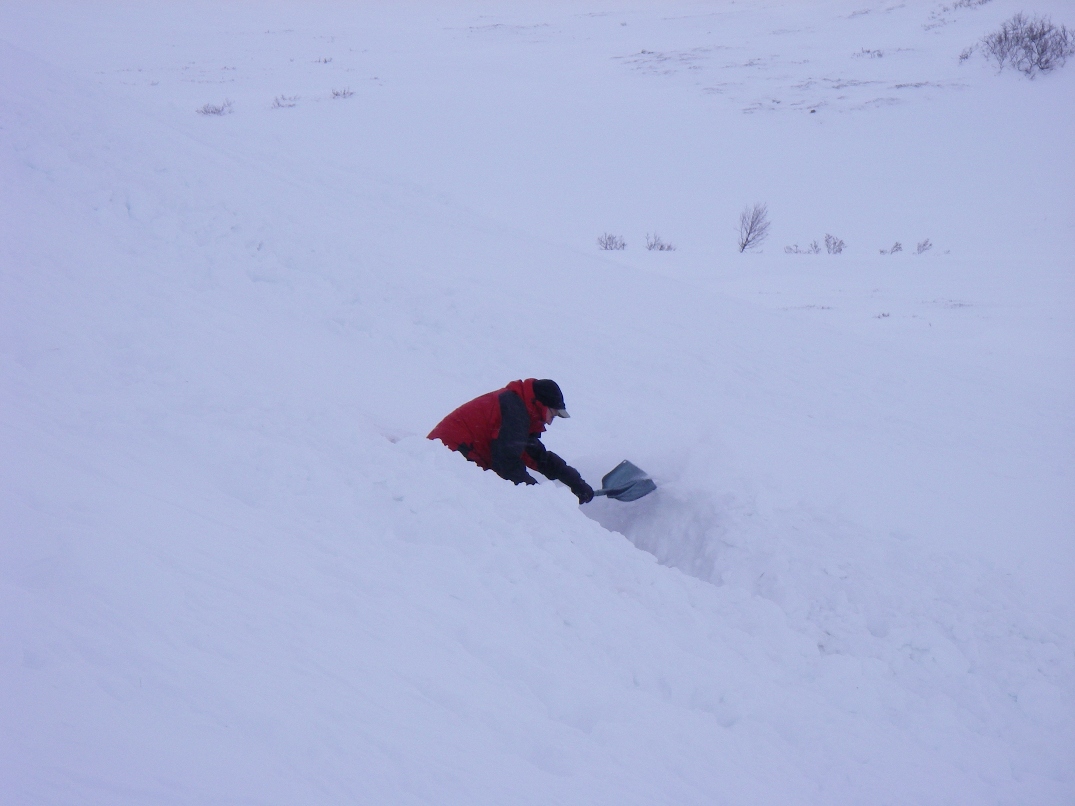 Digging snowholes